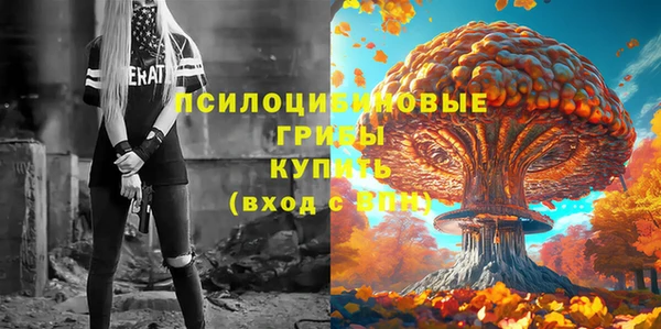 MDMA Алексеевка